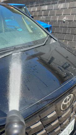 Pellucid（ペルシード）の記事動画