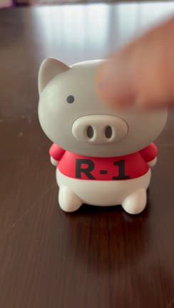 金龍のお財布袋５０枚揃うと圧巻です！！の記事動画