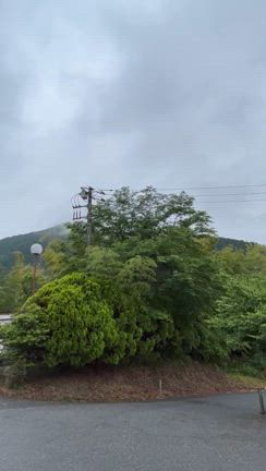 頑張ったご褒美♪の記事動画