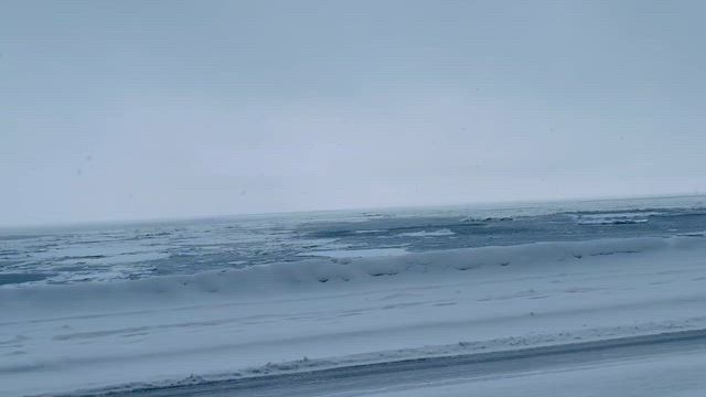 一枚　シリーズの記事動画