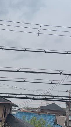 『神様』はいた！！の記事動画