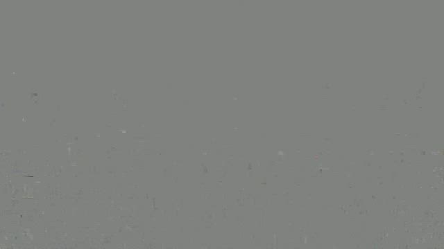 無形文化遺産の素晴らしさに触れた日／いくつになってもの記事動画