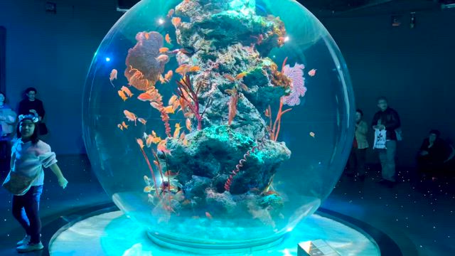 キュビズムカットの勉強のため神戸への記事動画