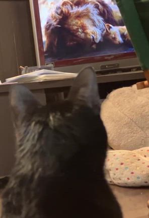 明けました　活動報告2025.1月〜前編〜の記事動画