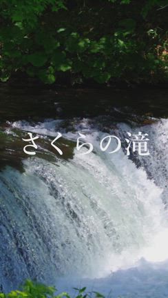 さくらの滝の記事動画