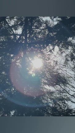 ヒプノセラピーベーシック講座　オンラインヒーリング交流会　ライタリアンレイソースレイaの記事動画