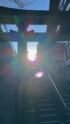 勝馬神社♡木の幹が馬のお顔に！の記事動画