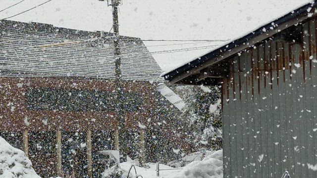 おうちごはんとボタ雪注意の記事動画