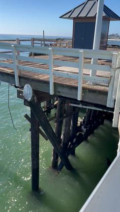 南カリフォルニアまで8泊で往復ドライブの旅♬ 南って暖かいのね～の巻。の記事動画