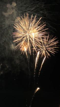 【友人達との万博。 私は２０回目の万博】の記事動画