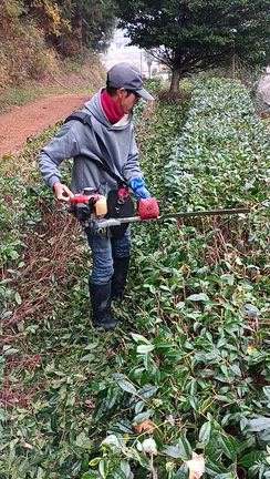 野望の記事動画