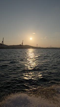 ３０日の記事動画