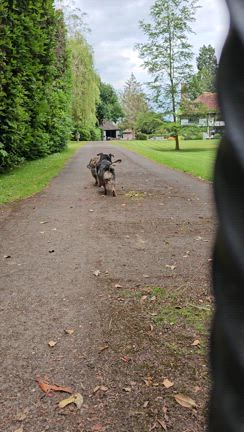 イギリス3日目の記事動画