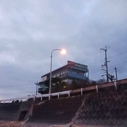 ありがとうございました！「保護ねこ譲渡会」セルフレポート♪の記事動画