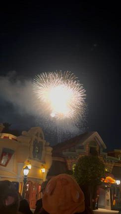 2025年末ディズニー②の記事動画