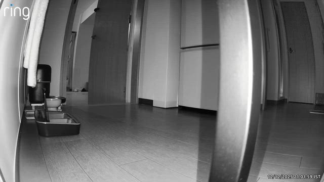 名古屋御園座公演４日目の記事動画