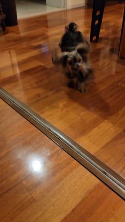 心配してたら、、の記事動画