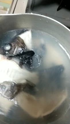 イサキを食べていきますの記事動画