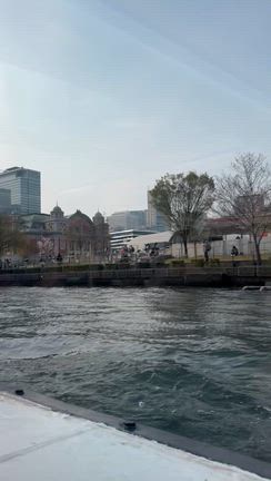 大阪の歴史を学ぶ、お花見クルーズ！！の記事動画