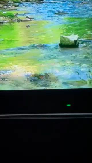 父の日と言うことで…の記事動画