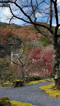 12月は、HBD、クリスマス、そして紅葉＠白龍園の記事動画