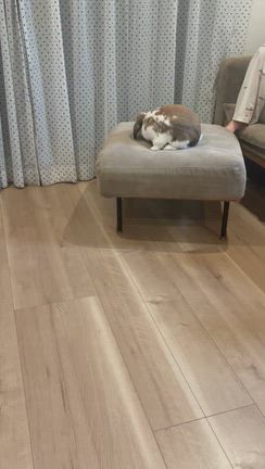 おはようございます☺︎の記事動画