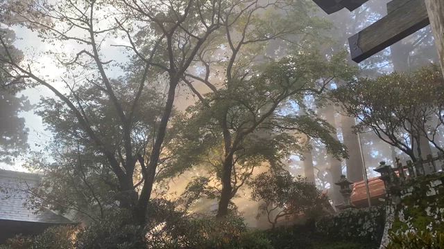 玉置神社の霧と光の記事動画