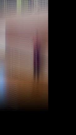 練習会の記事動画