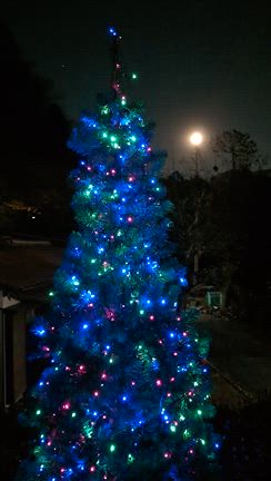 満月️と釣り〜〜の記事動画