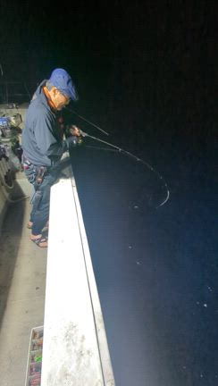 8月31日 夜焚き出航の記事動画