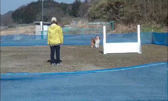 奈良支部訓練競技会の記録の記事動画