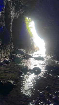【能登】祭りは生命を活かすものの記事動画
