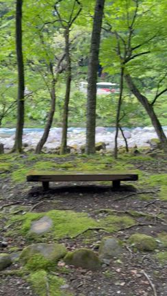 日光の旅行きました。ビジネス合宿への参加、社寺めぐり＆散策の記事動画