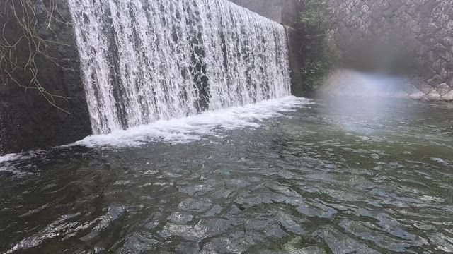 ザ・夏休み！！って感じ！！の記事動画