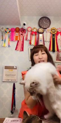 6/14 (土)12:15〜12:45 抱っこができるサイベリアンの 子猫ご紹介ライブ2の記事動画