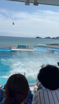 初めての家族旅行！の記事動画