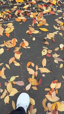 今日は中野方面へお散歩☆の記事動画