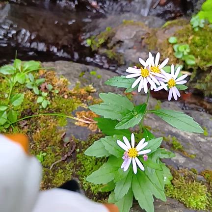 2025/10/3の記事動画