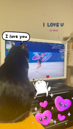 ニャンとも早起き(Φ▲Φ)の記事動画