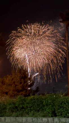 美味しいランチと…の記事動画