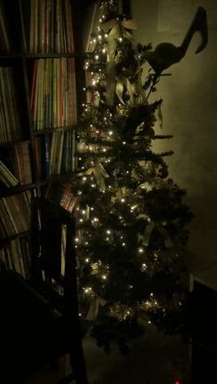 クリスマスツリーの記事動画