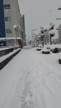 久しぶりの大雪の記事動画