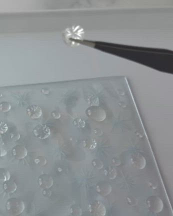 海外シェフも驚いた「日本のショートケーキナッペ」その基礎は〇〇ケーキにありの記事動画