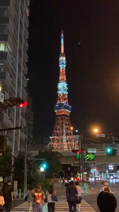 今日の東京タワーのライトの意味は？の記事動画