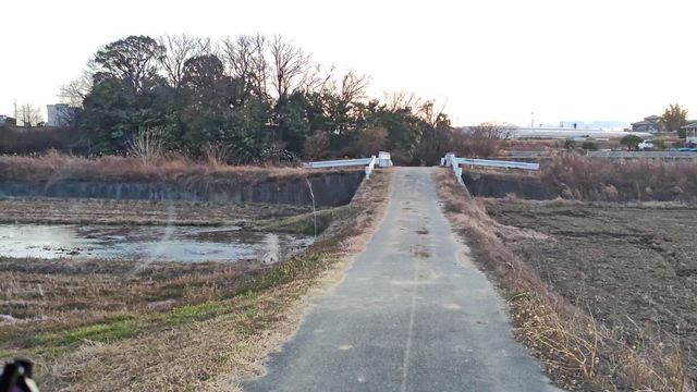 混んでましたね。の記事動画