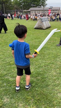 照姫まつりへの記事動画