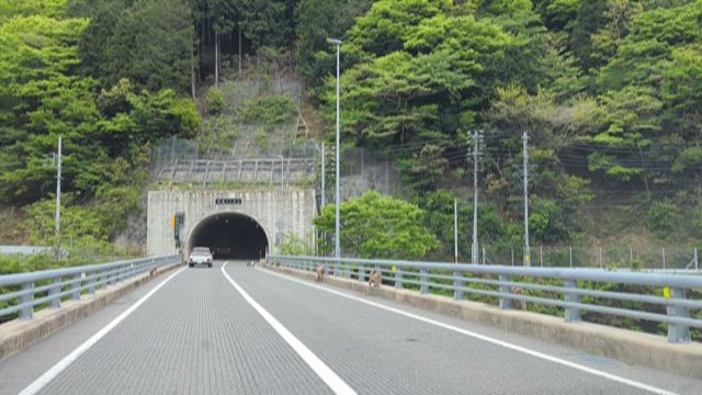 福井県池田町 道のオアシスフォーシーズンテラスの記事動画