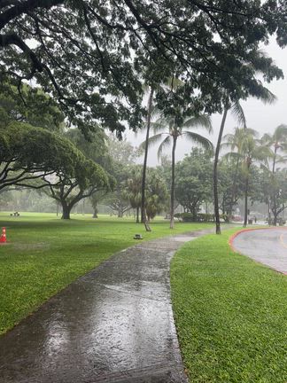 今日は雨降り!の記事動画