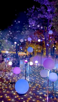 ●六本木☆東京ミッドタウンのクリスマスイルミネーション☆彡＆ミッドタウンのスタバ（東京・六本木）の記事動画