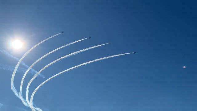 カメラに入りきれないほど大きな星　ガーデニングと可愛い子がいる暮らしの記事動画